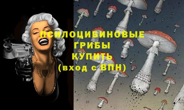 спайс Алексин