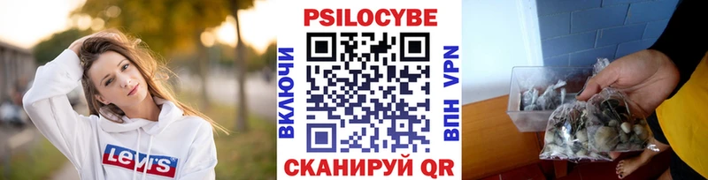 ссылка на мегу ТОР  Зеленогорск  Галлюциногенные грибы мухоморы 