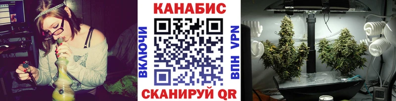 это наркотические препараты цены Зеленогорск Бошки Шишки Amnesia